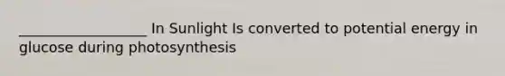 __________________ In Sunlight Is converted to potential energy in glucose during photosynthesis