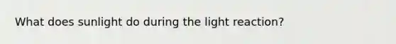 What does sunlight do during the light reaction?