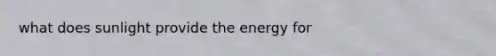 what does sunlight provide the energy for