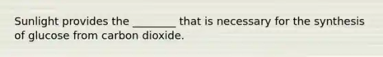 Sunlight provides the ________ that is necessary for the synthesis of glucose from carbon dioxide.