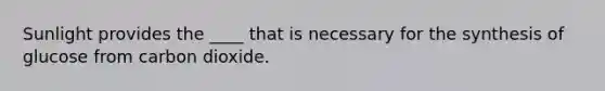 Sunlight provides the ____ that is necessary for the synthesis of glucose from carbon dioxide.