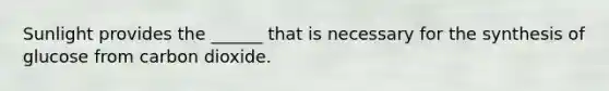 Sunlight provides the ______ that is necessary for the synthesis of glucose from carbon dioxide.