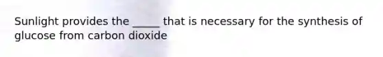 Sunlight provides the _____ that is necessary for the synthesis of glucose from carbon dioxide