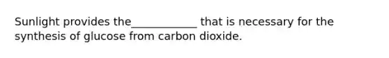 Sunlight provides the____________ that is necessary for the synthesis of glucose from carbon dioxide.