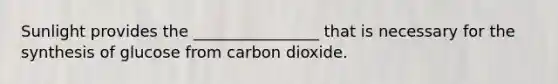 Sunlight provides the ________________ that is necessary for the synthesis of glucose from carbon dioxide.