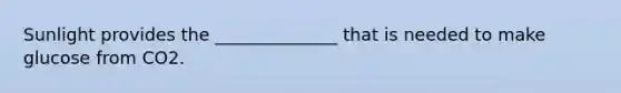 Sunlight provides the ______________ that is needed to make glucose from CO2.