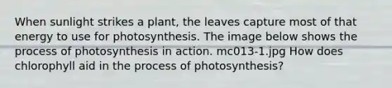 When sunlight strikes a plant, the leaves capture most of that energy to use for photosynthesis. The image below shows the <a href='https://www.questionai.com/knowledge/kZdL6DGYI4-process-of-photosynthesis' class='anchor-knowledge'>process of photosynthesis</a> in action. mc013-1.jpg How does chlorophyll aid in the process of photosynthesis?