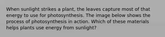 When sunlight strikes a plant, the leaves capture most of that energy to use for photosynthesis. The image below shows the process of photosynthesis in action. Which of these materials helps plants use energy from sunlight?