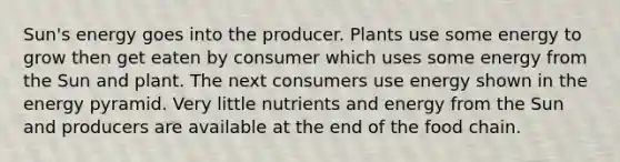 Sun's energy goes into the producer. Plants use some energy to grow then get eaten by consumer which uses some energy from the Sun and plant. The next consumers use energy shown in the energy pyramid. Very little nutrients and energy from the Sun and producers are available at the end of the food chain.