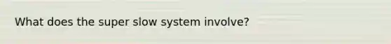 What does the super slow system involve?