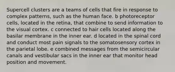 Supercell clusters are a teams of cells that fire in response to complex patterns, such as the human face. b photoreceptor cells, located in the retina, that combine to send information to the visual cortex. c connected to hair cells located along the basilar membrane in the inner ear. d located in the spinal cord and conduct most pain signals to the somatosensory cortex in the parietal lobe. e combined messages from the semicircular canals and vestibular sacs in the inner ear that monitor head position and movement.