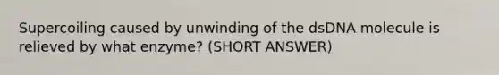 Supercoiling caused by unwinding of the dsDNA molecule is relieved by what enzyme? (SHORT ANSWER)