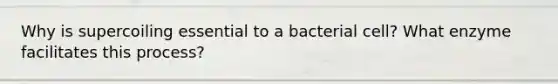 Why is supercoiling essential to a bacterial cell? What enzyme facilitates this process?