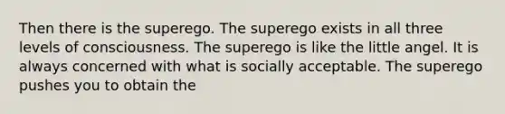 Then there is the superego. The superego exists in all three levels of consciousness. The superego is like the little angel. It is always concerned with what is socially acceptable. The superego pushes you to obtain the