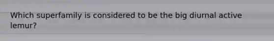Which superfamily is considered to be the big diurnal active lemur?