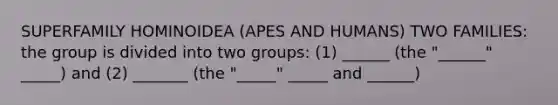 SUPERFAMILY HOMINOIDEA (APES AND HUMANS) TWO FAMILIES: the group is divided into two groups: (1) ______ (the "______" _____) and (2) _______ (the "_____" _____ and ______)