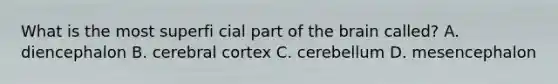 What is the most superfi cial part of the brain called? A. diencephalon B. cerebral cortex C. cerebellum D. mesencephalon