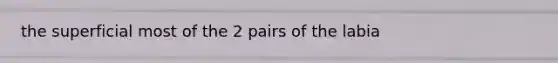 the superficial most of the 2 pairs of the labia