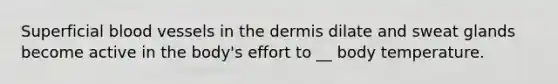 Superficial blood vessels in the dermis dilate and sweat glands become active in the body's effort to __ body temperature.