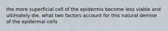 the more superficial cell of the epidermis become less viable and ultimately die. what two factors account for this natural demise of the epidermal cells