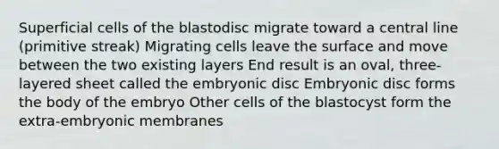 Superficial cells of the blastodisc migrate toward a central line (primitive streak) Migrating cells leave the surface and move between the two existing layers End result is an oval, three-layered sheet called the embryonic disc Embryonic disc forms the body of the embryo Other cells of the blastocyst form the extra-embryonic membranes