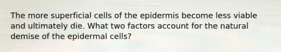 The more superficial cells of the epidermis become less viable and ultimately die. What two factors account for the natural demise of the epidermal cells?