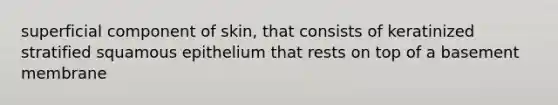 superficial component of skin, that consists of keratinized stratified squamous epithelium that rests on top of a basement membrane