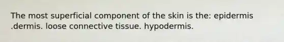 The most superficial component of the skin is the: epidermis .dermis. loose <a href='https://www.questionai.com/knowledge/kYDr0DHyc8-connective-tissue' class='anchor-knowledge'>connective tissue</a>. hypodermis.