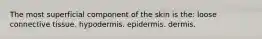 The most superficial component of the skin is the: loose connective tissue. hypodermis. epidermis. dermis.