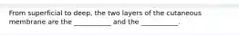 From superficial to deep, the two layers of the cutaneous membrane are the ___________ and the ___________.