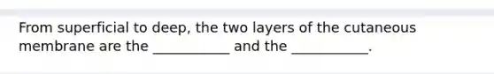 From superficial to deep, the two layers of the cutaneous membrane are the ___________ and the ___________.