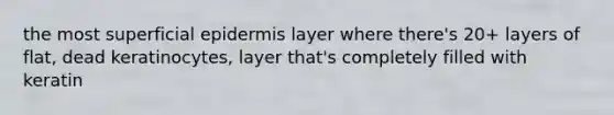 the most superficial epidermis layer where there's 20+ layers of flat, dead keratinocytes, layer that's completely filled with keratin