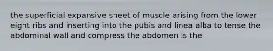 the superficial expansive sheet of muscle arising from the lower eight ribs and inserting into the pubis and linea alba to tense the abdominal wall and compress the abdomen is the