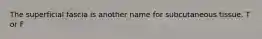 The superficial fascia is another name for subcutaneous tissue. T or F