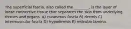 The superficial fascia, also called the ________, is the layer of loose connective tissue that separates the skin from underlying tissues and organs. A) cutaneous fascia B) dermis C) intermuscular fascia D) hypodermis E) reticular lamina.