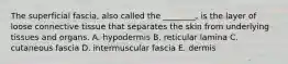 The superficial fascia, also called the ________, is the layer of loose connective tissue that separates the skin from underlying tissues and organs. A. hypodermis B. reticular lamina C. cutaneous fascia D. intermuscular fascia E. dermis