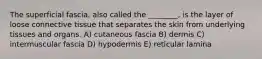 The superficial fascia, also called the ________, is the layer of loose connective tissue that separates the skin from underlying tissues and organs. A) cutaneous fascia B) dermis C) intermuscular fascia D) hypodermis E) reticular lamina