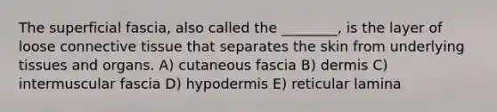 The superficial fascia, also called the ________, is the layer of loose <a href='https://www.questionai.com/knowledge/kYDr0DHyc8-connective-tissue' class='anchor-knowledge'>connective tissue</a> that separates the skin from underlying tissues and organs. A) cutaneous fascia B) dermis C) intermuscular fascia D) hypodermis E) reticular lamina