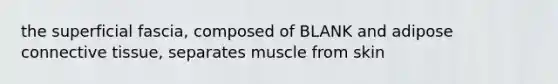 the superficial fascia, composed of BLANK and adipose connective tissue, separates muscle from skin