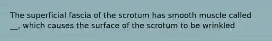 The superficial fascia of the scrotum has smooth muscle called __, which causes the surface of the scrotum to be wrinkled