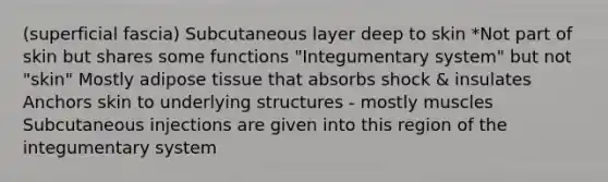 (superficial fascia) Subcutaneous layer deep to skin *Not part of skin but shares some functions "Integumentary system" but not "skin" Mostly adipose tissue that absorbs shock & insulates Anchors skin to underlying structures - mostly muscles Subcutaneous injections are given into this region of the integumentary system