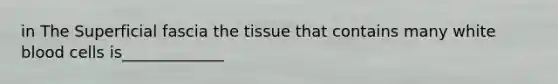 in The Superficial fascia the tissue that contains many white blood cells is_____________