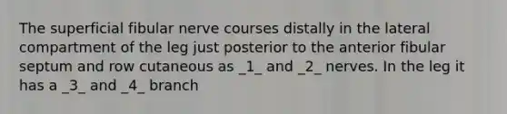 The superficial fibular nerve courses distally in the lateral compartment of the leg just posterior to the anterior fibular septum and row cutaneous as _1_ and _2_ nerves. In the leg it has a _3_ and _4_ branch