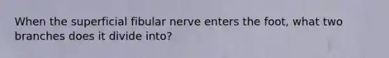 When the superficial fibular nerve enters the foot, what two branches does it divide into?