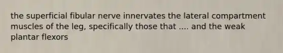 the superficial fibular nerve innervates the lateral compartment muscles of the leg, specifically those that .... and the weak plantar flexors