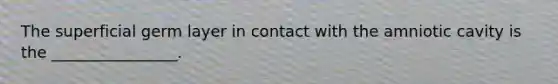 The superficial germ layer in contact with the amniotic cavity is the ________________.