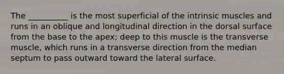 The __________ is the most superficial of the intrinsic muscles and runs in an oblique and longitudinal direction in the dorsal surface from the base to the apex; deep to this muscle is the transverse muscle, which runs in a transverse direction from the median septum to pass outward toward the lateral surface.