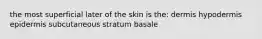 the most superficial later of the skin is the: dermis hypodermis epidermis subcutaneous stratum basale