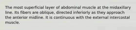 The most superficial layer of abdominal muscle at the midaxillary line. Its fibers are oblique, directed inferiorly as they approach the anterior midline. It is continuous with the external intercostal muscle.