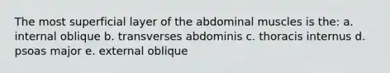 The most superficial layer of the abdominal muscles is the: a. internal oblique b. transverses abdominis c. thoracis internus d. psoas major e. external oblique